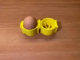 Egg Incubator-2