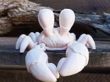 crab-0