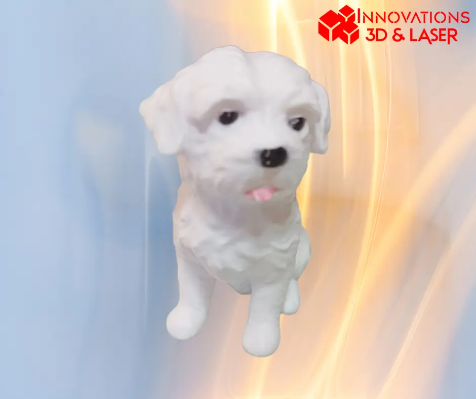 Perro maltés - Bichon Maltais