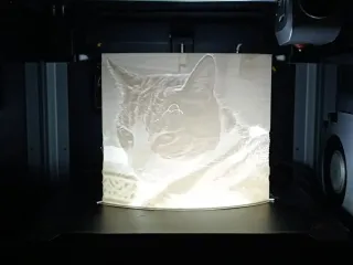 Gatto Litophania