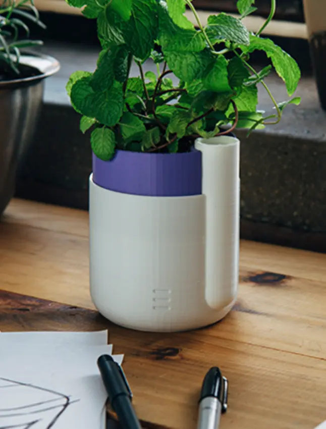 self watering flower pot