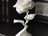 Modern Rose-0