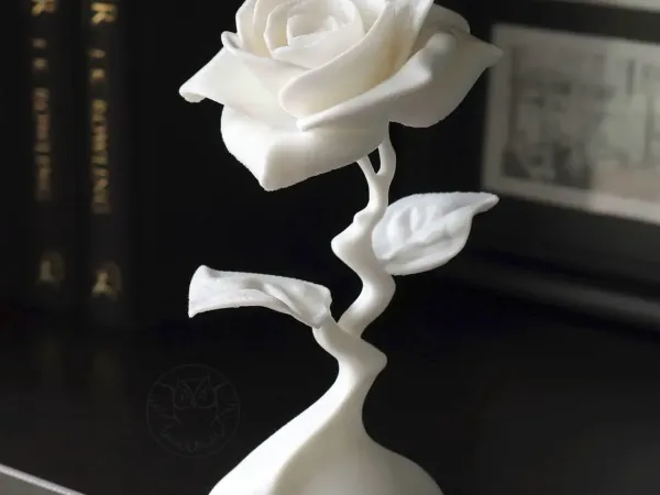 Modern Rose