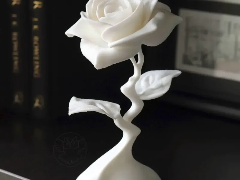 Modern Rose