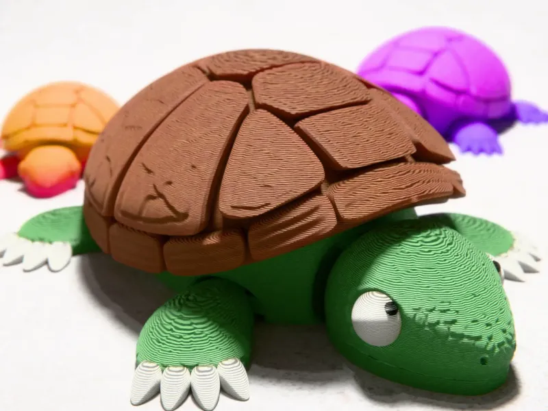 Tortuga Flexible Multicolor