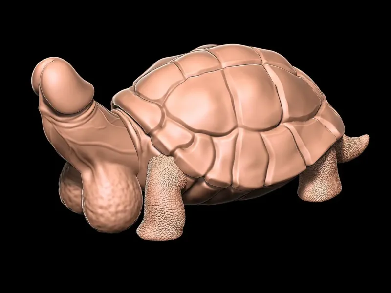 Dick Penis turtle