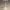 حامل عرض القلادة