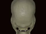 vampi̇r kafatasi 💀-2