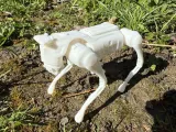 Cane Robot Unitree Go2-7