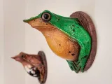 DARWIN WALL FROG-1