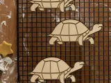 Turtle Cookie Cutter, Biscuit Cutter-1