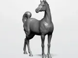 HORSE-4