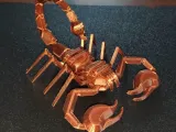 Geometric Scorpion-0