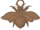 carpenter bee pendant -3