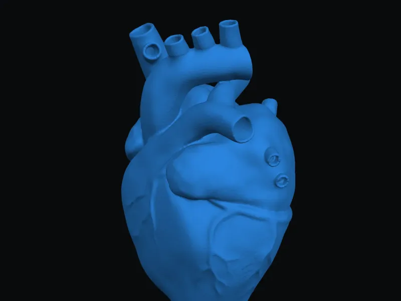 anatomik kalp 