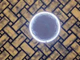 Wall Moon Lamp-5