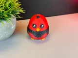 Cute Bird-3