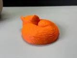 Sleeping Fox-5