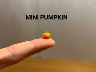 Mini Pumpkin