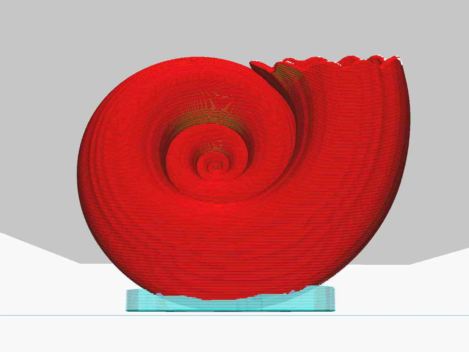 Concha de caracol objeto de decoración