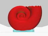 Shell of a snail decoration object-6