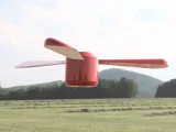 Hand-Powered Helicopter Bamboo Copter (Print-in-Place)-2