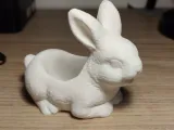 Easter Rabbit/Bunny Carry-1