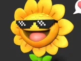 Sunflower-5