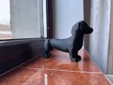 Il Bassotto-4