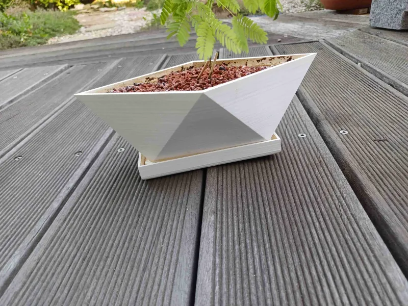Pot pour bonsaï