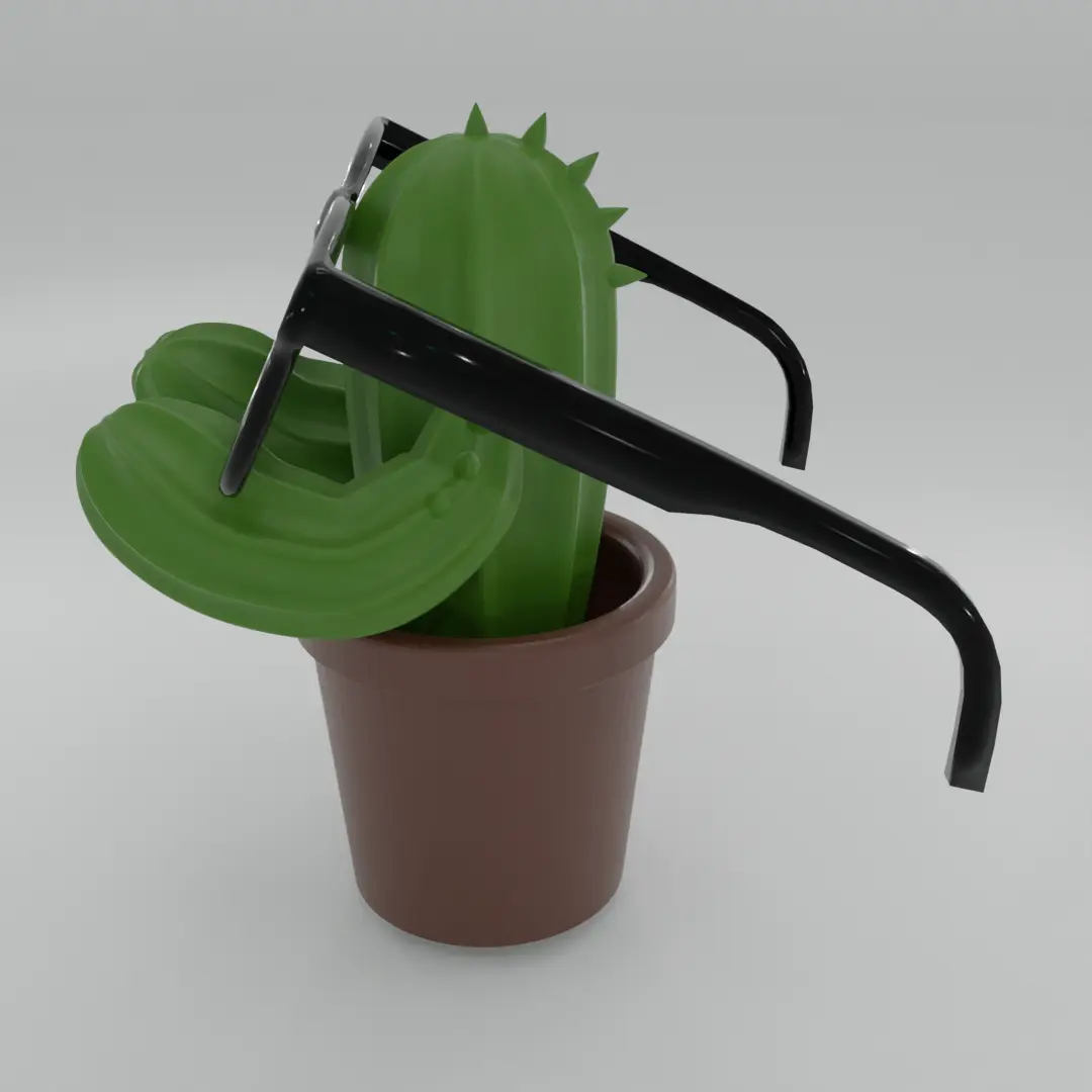 Cactus Brilhouder