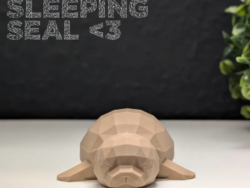 Low Poly Sleeping Seal