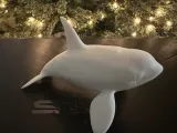 Orca-1