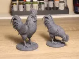 Rooster figures-1