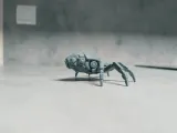 Mecha Spider Bot-6