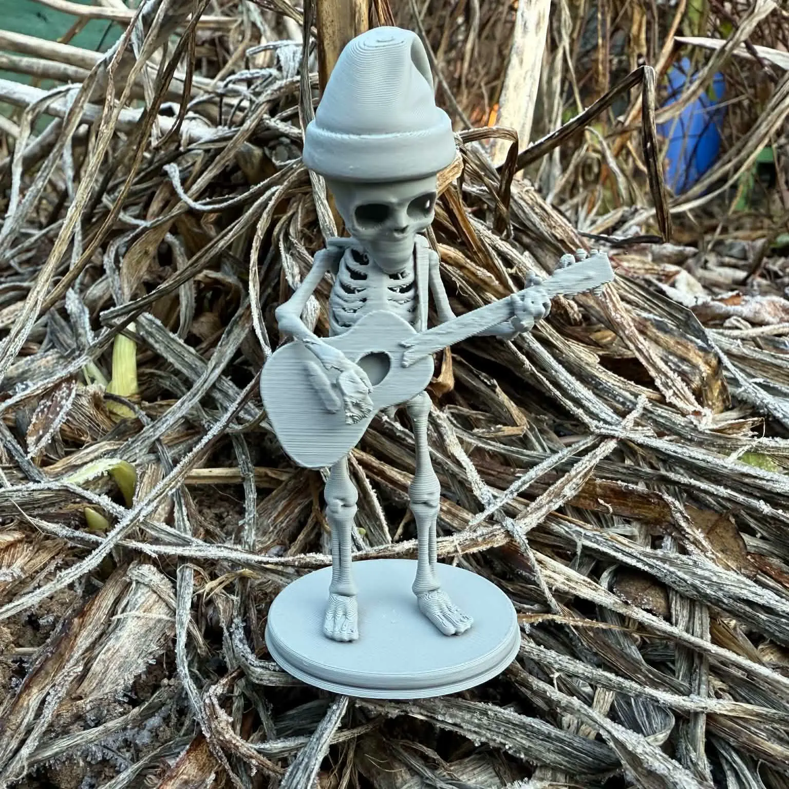 Winter skeleton with guitar on stand