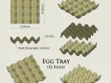 Egg Tray-3