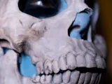 Skeleton Mask-4