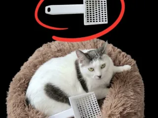 Cat Litter Scoop!