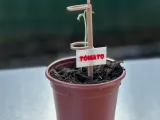 Modular plant support system – seedling holder-4