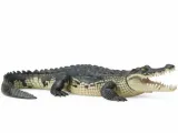 Crocodile-0