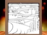 Desert shadow box-1
