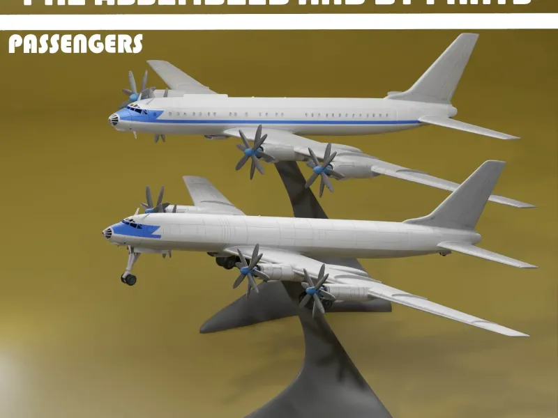 Tu-114 Rossiya (V1) PASSAGEIROS