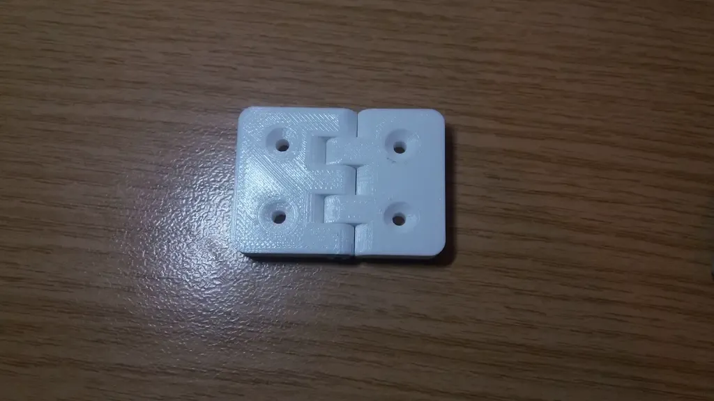 Hinge - Bisagra
