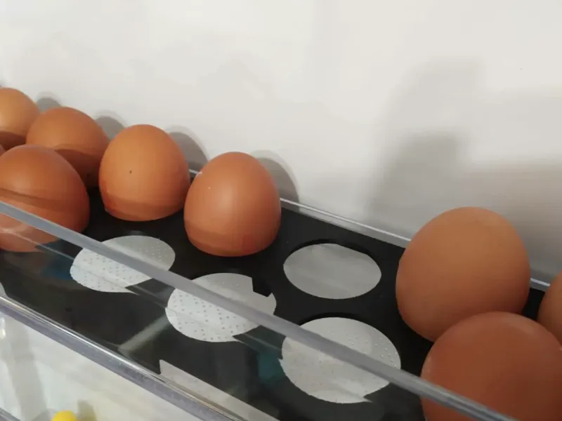 Egg holder for the refrigerator