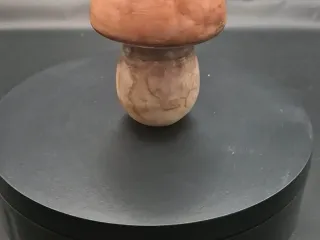Mushroom box
