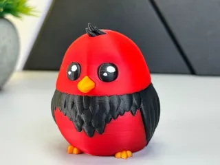 Cute Bird