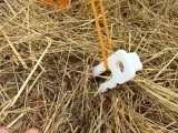 Universal Tactical Tent Peg - Easy Print-3
