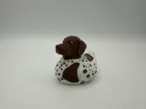 German Shorthaired Pointer Jeep Cruise Duck-6