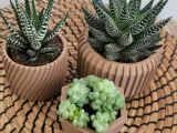 Dekorative Vase 08-2